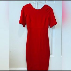 Beautiful, sexy red dress that molds to your body
